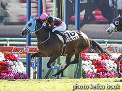 カラープリント(アルミ枠付き)2019年12月8日中山4R 2歳未勝利(クロスセル)