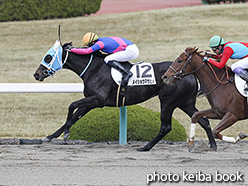 カラーパネル2019年12月14日阪神1R 2歳未勝利(メイショウマサヒメ)