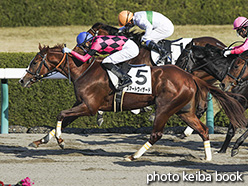 カラーパネル2019年12月14日阪神2R 2歳未勝利(スマートウィザード)