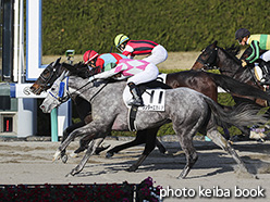 カラープリント(アルミ枠なし)2019年12月14日阪神8R 3歳以上2勝クラス(アニエーゼ)