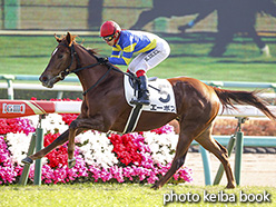 カラープリント(アルミ枠付き)2019年12月14日中山5R 2歳新馬(エーポス)