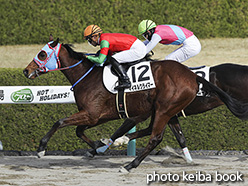 カラープリント(アルミ枠なし)2019年12月15日阪神2R 2歳未勝利(マイネルクライマー)