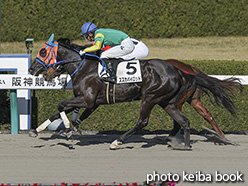 カラーパネル2019年12月15日阪神6R 2歳新馬(スズカパイロット)