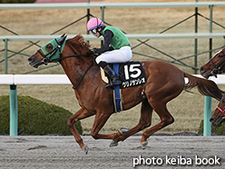 カラーパネル2019年12月15日阪神12R 高砂特別(クリノサンレオ)