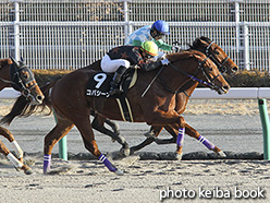 カラーパネル2019年12月15日中京10R 寒椿賞(コパシーナ)