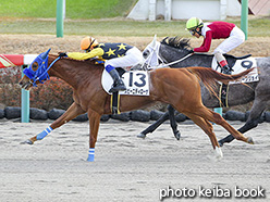 カラープリント(アルミ枠なし)2019年12月15日中山1R 2歳未勝利(スピーニディローザ)