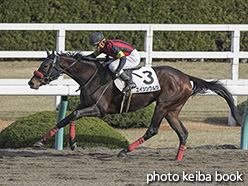 カラープリント(アルミ枠なし)2019年12月21日阪神1R 2歳未勝利(エイシンワルツ)