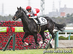 カラープリント(アルミ枠なし)2019年12月21日阪神4R 2歳未勝利(スワーヴドン)