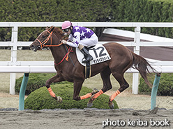 カラーパネル2019年12月21日阪神6R 2歳新馬(サンライズラポール)