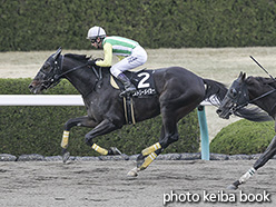 カラーパネル2019年12月21日阪神10R 摩耶ステークス(ヒストリーメイカー)