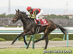 カラーパネル2019年12月21日阪神11R 第14回　阪神カップ(GII)(グランアレグリア)