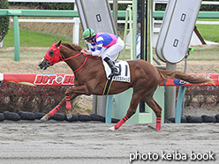 カラーパネル2019年12月21日中山6R 2歳新馬(キングスバーンズ)