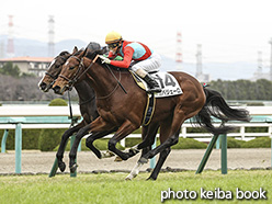 カラーパネル2019年12月22日阪神6R 2歳新馬(カバジェーロ)