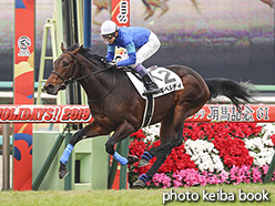 カラーパネル2019年12月22日中山5R 2歳新馬(ギベルティ)