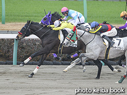 カラープリント(アルミ枠なし)2019年12月22日中山7R 3歳以上1勝クラス(ララロワ)