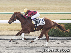カラーパネル2020年1月5日京都3R 3歳新馬(オレンジペコ)