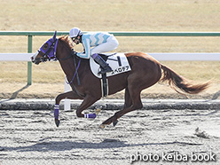 カラープリント(アルミ枠なし)2020年1月13日京都3R 3歳新馬(スペロデア)