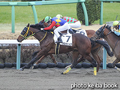 カラープリント(アルミ枠付き)2020年1月26日中山2R 3歳未勝利(クロカドッグ)