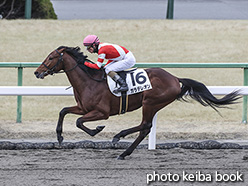 カラープリント(アルミ枠付き)2020年2月1日京都2R 3歳新馬(ガラデレオン)