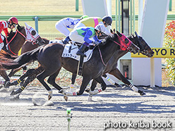 カラーパネル2020年2月1日東京1R 3歳未勝利(クリアミッション)