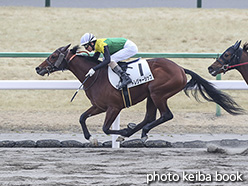 カラーパネル2020年2月8日京都6R 3歳新馬(トレジャーシップ)