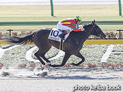 カラープリント(アルミ枠付き)2020年2月8日東京2R 3歳新馬(レッチェバロック)