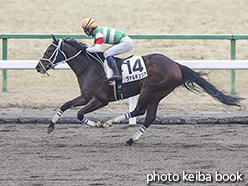 カラープリント(アルミ枠付き)2020年2月15日京都6R 3歳新馬(ヴァルキュリア)
