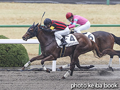 カラーパネル2020年2月16日京都2R 3歳未勝利(エイシンバッカス)