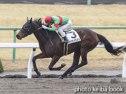 カラープリント(アルミ枠なし)2020年2月16日京都3R 4歳以上1勝クラス(ヘイセイラスト)