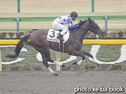 カラーパネル2020年2月16日東京1R 3歳未勝利(マッチャパフェ)