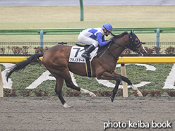 カラープリント(アルミ枠付き)2020年2月16日東京4R 3歳新馬(アキノスマート)