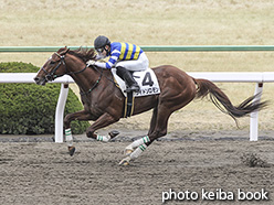 カラープリント(アルミ枠付き)2020年2月23日京都2R 3歳未勝利(ワイドソロモン)