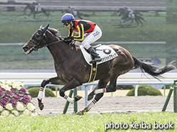 カラーパネル2020年2月23日京都5R 3歳未勝利(ヴァリッドブラック)