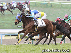 カラーパネル2020年2月23日京都6R 3歳1勝クラス(フィオリキアリ)