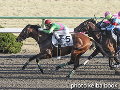 カラープリント(アルミ枠なし)2020年2月23日京都12R 4歳以上2勝クラス(タガノプレトリア)