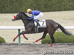 カラーパネル2020年2月29日阪神1R 3歳未勝利(キャッツアイ)