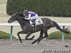 カラーパネル2020年2月29日阪神3R 3歳未勝利(ハンメルフェスト)