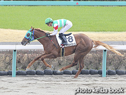 カラープリント(アルミ枠なし)2020年2月29日中山1R 3歳未勝利(アコルドエール)