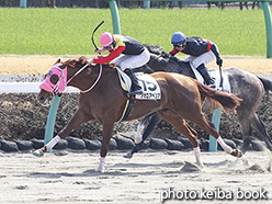 カラープリント(アルミ枠なし)2020年2月29日中山4R 3歳1勝クラス(アポロアベリア)