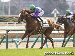 カラープリント(アルミ枠付き)2020年2月29日中山5R 3歳未勝利(ラパンセソバージュ)