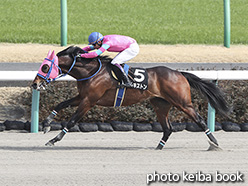 カラーパネル2020年2月29日中山8R 春麗ジャンプステークス(ハルキストン)