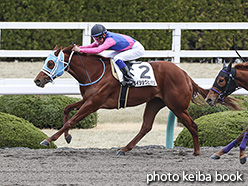 カラーパネル2020年3月1日阪神1R 3歳未勝利(メイショウヒバリ)