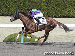 カラーパネル2020年3月1日阪神6R 4歳以上1勝クラス(アイキャンテーラー)