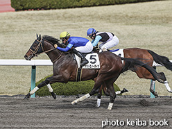 カラープリント(アルミ枠なし)2020年3月1日阪神7R 4歳以上1勝クラス(アストロノーティカ)