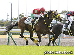 カラーパネル2020年3月1日中京2R 3歳未勝利(マイネルインパクト)