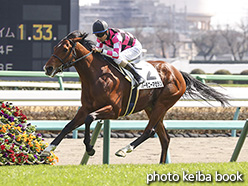 カラープリント(アルミ枠付き)2020年3月1日中山6R 3歳1勝クラス(ハーモニーマゼラン)