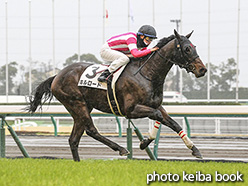 カラープリント(アルミ枠なし)2020年3月8日中京9R 4歳以上1勝クラス(キルロード)