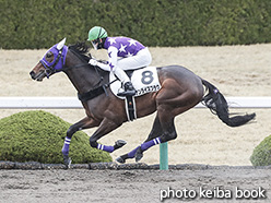 カラーパネル2020年3月14日阪神2R 3歳未勝利(サンライズプラウ)