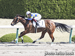 カラープリント(アルミ枠なし)2020年4月4日阪神1R 3歳未勝利(セントクリーガー)