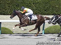 カラープリント(アルミ枠付き)2020年4月4日阪神6R 4歳以上1勝クラス(ハイパーノヴァ)